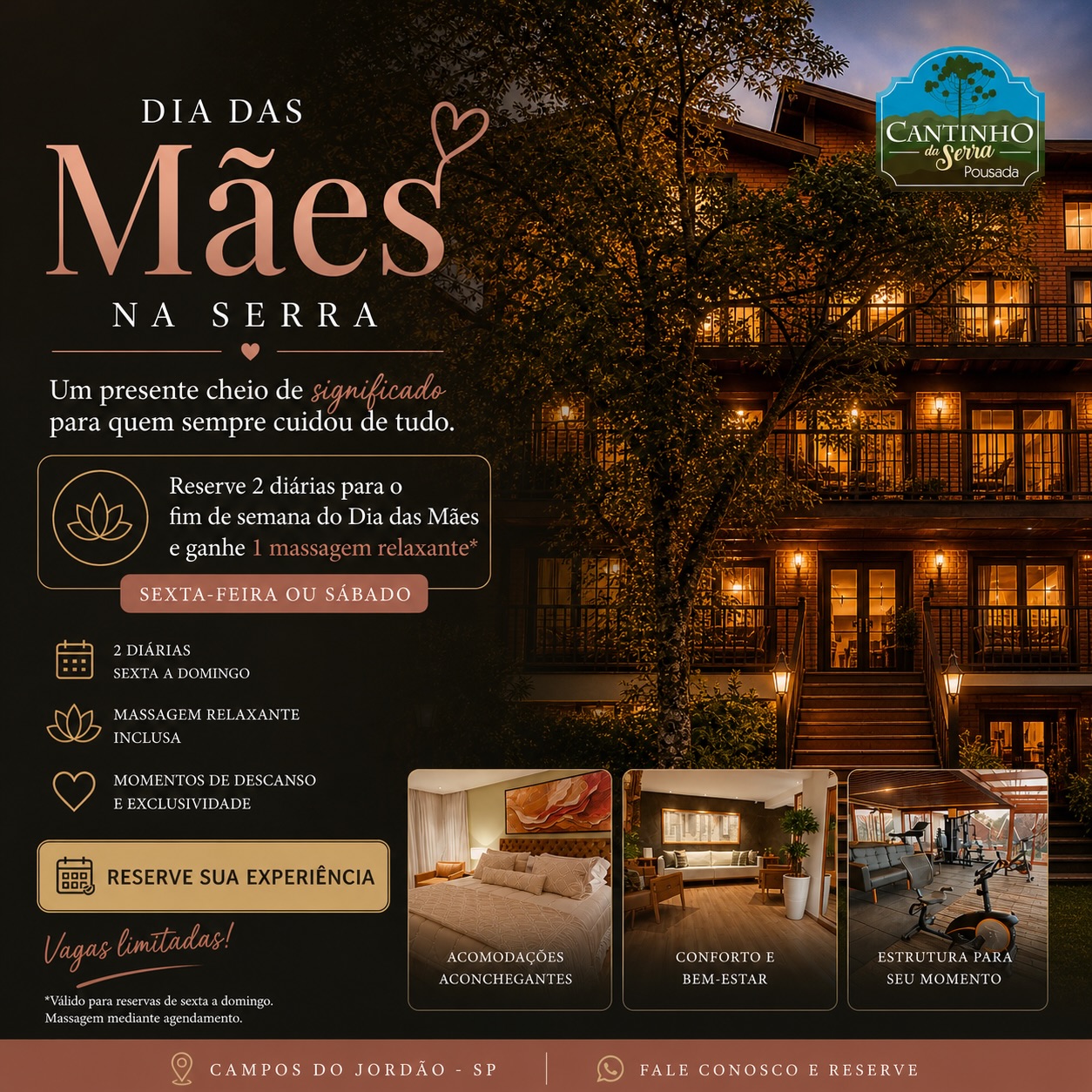 Dia das mães